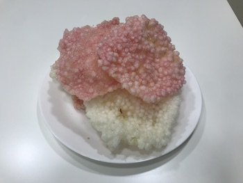 Fried sabudana papad on a plate