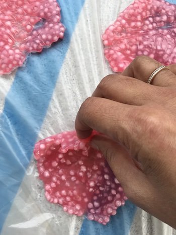 Dried tapioca pearls papad