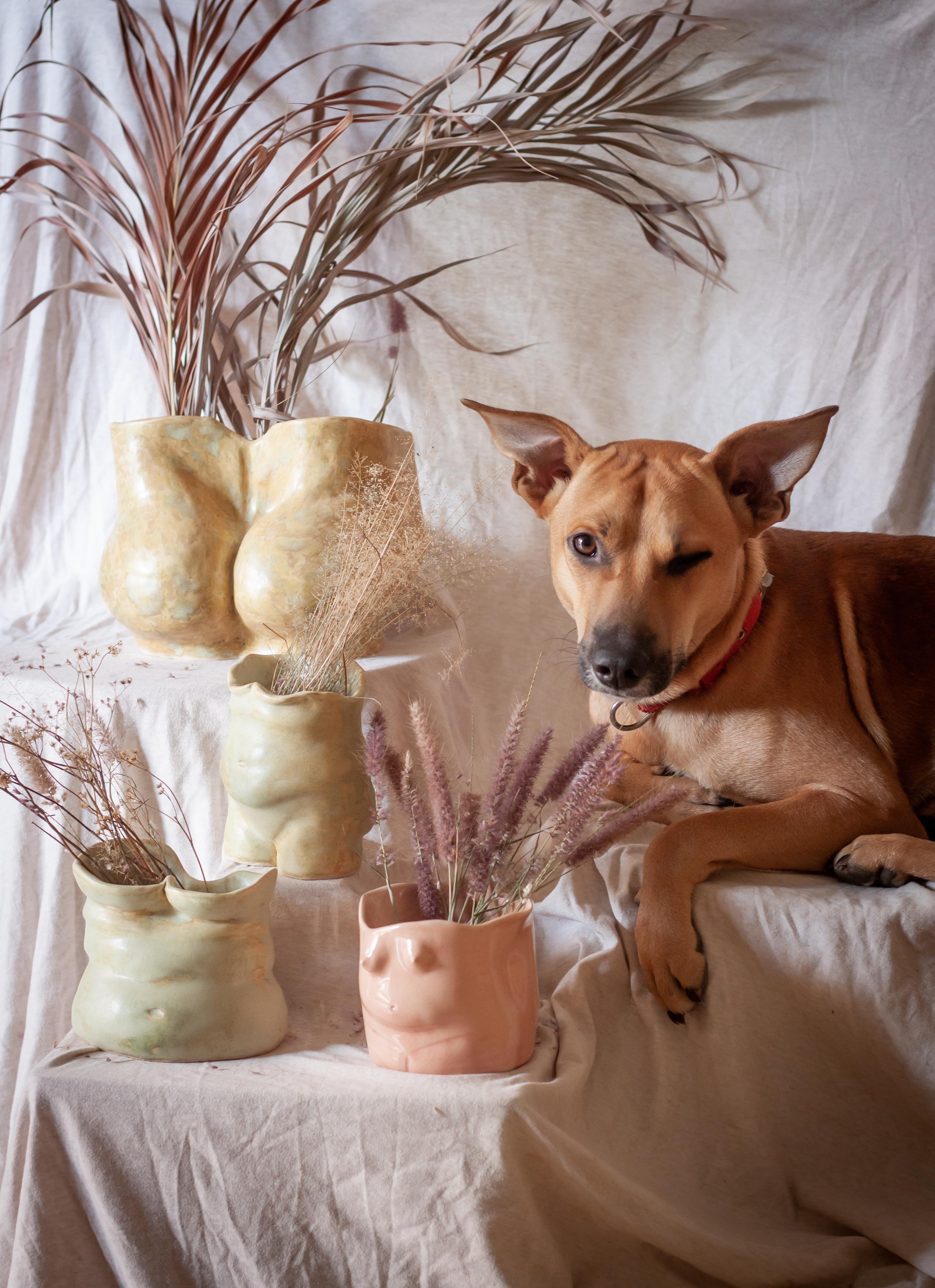 A product by Lacuna Studio over a chair 